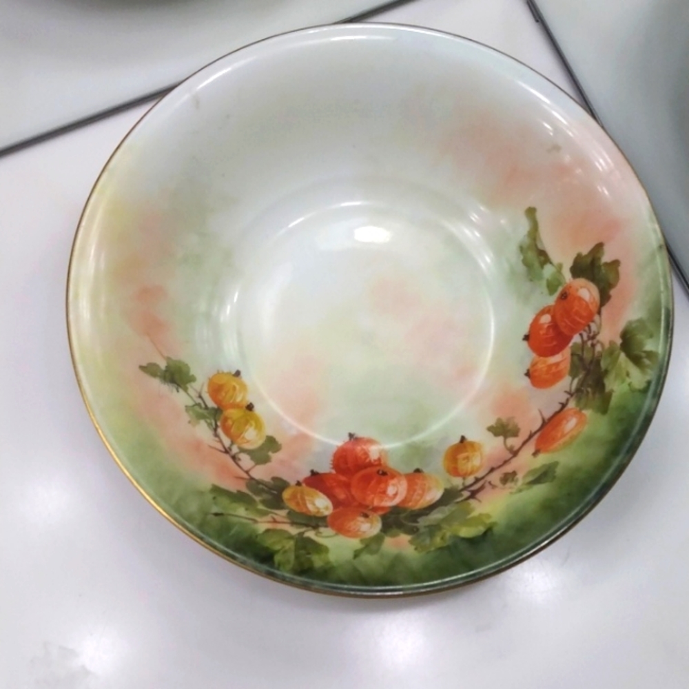 CAINE'S STUDIO HAND PAINTED 10 INCH BOWL